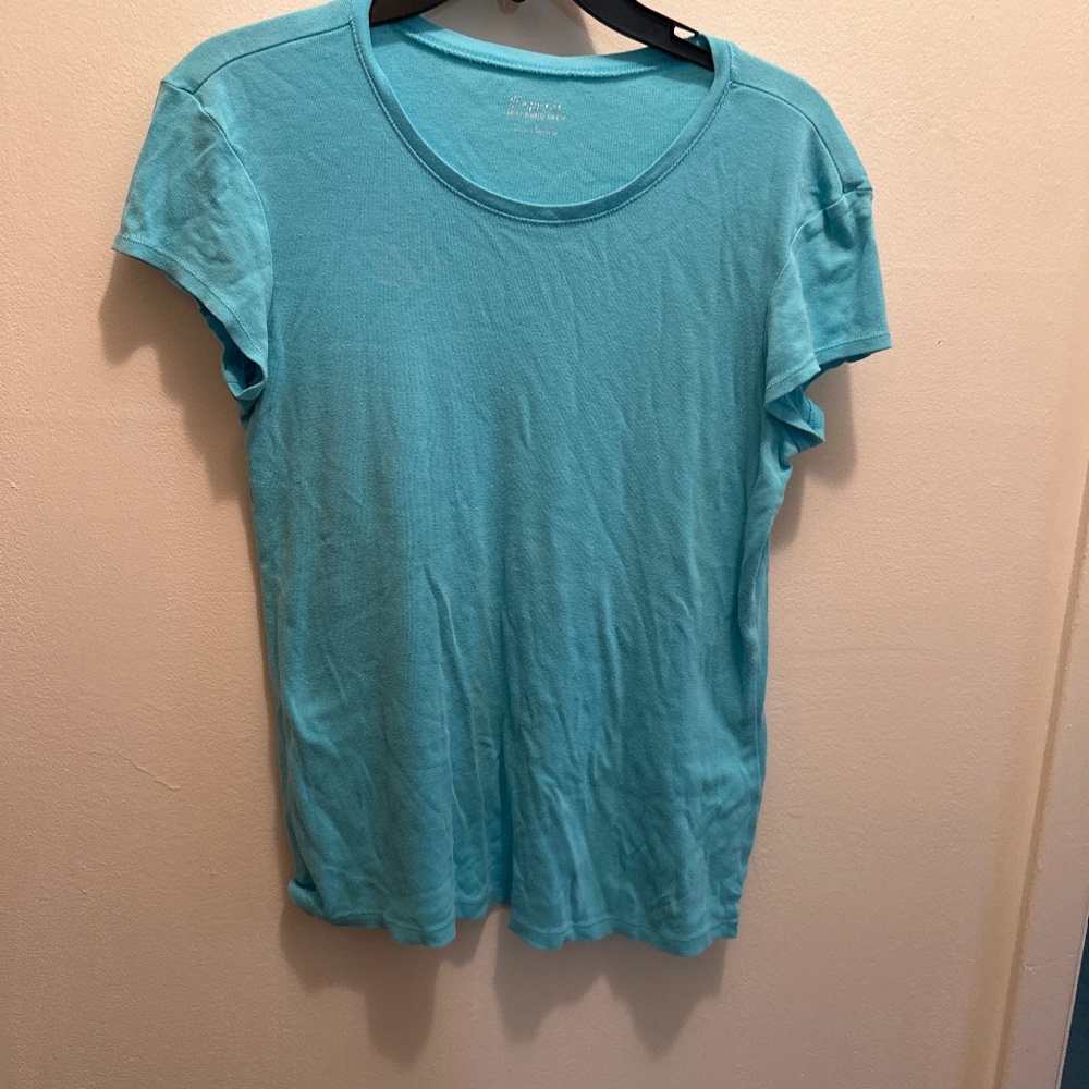 Express  stretch crew neck blue  T-shirt size L